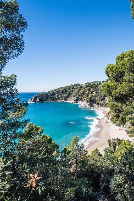 camping cala llevado en primera línea de playa tossa de mar cataluña