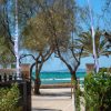 hotel ciutat jardi vistas al mar palma de mallorca a pie de playa islas baleares