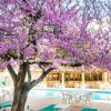 hotel gaya primera línea de playa paguera mallorca