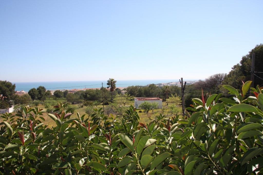 hotel serra dirta vistas al mar alcossebre comunidad valenciana playa