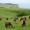 posada punta ballota hostal suances cantabria playa