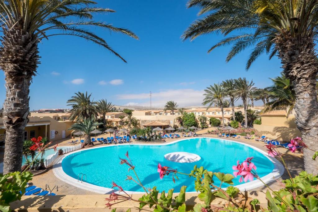 royal suite hotel costa calma fuerteventura playa